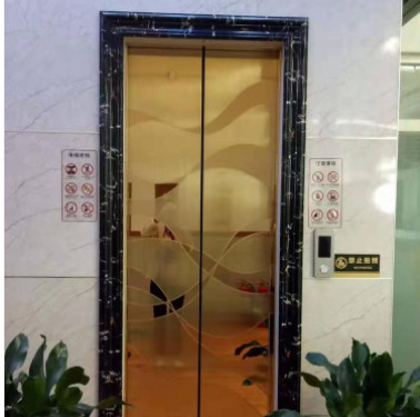Lift Perangkat Penyelamatan Otomatis ARD 3m / s 13 Lift Penumpang