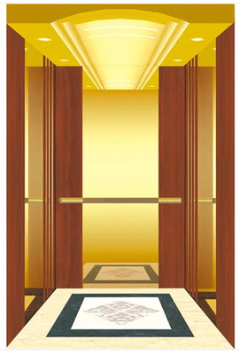 2.0m/s Residential Elevator 13 Orang 1350KG Compact Home Lift