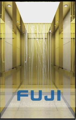 Lift Lift Rumah Stainless Steel Garis Rambut