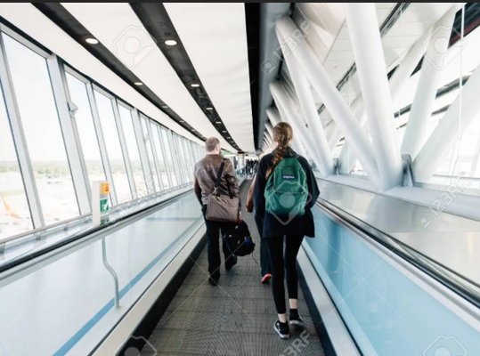 Eskalator Bandara 12 Derajat Flat 5000KG Pallet Type Moving Walkway